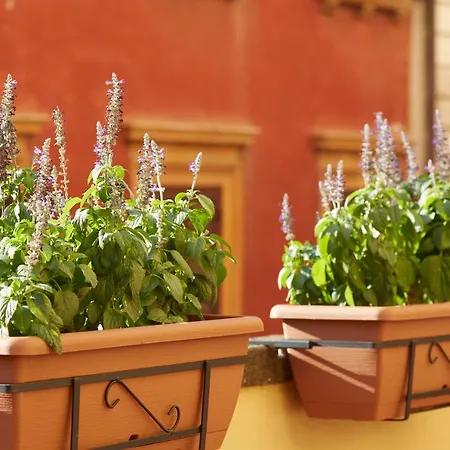 Ripagrande A Trastevere 게스트하우스 4*