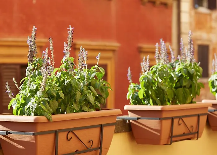 Ripagrande A Trastevere Pensionat 4*